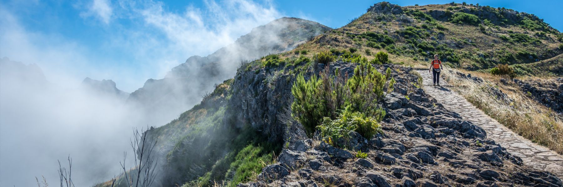 Rent a car in Madeira